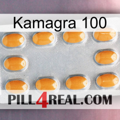 Kamagra 100 cialis3